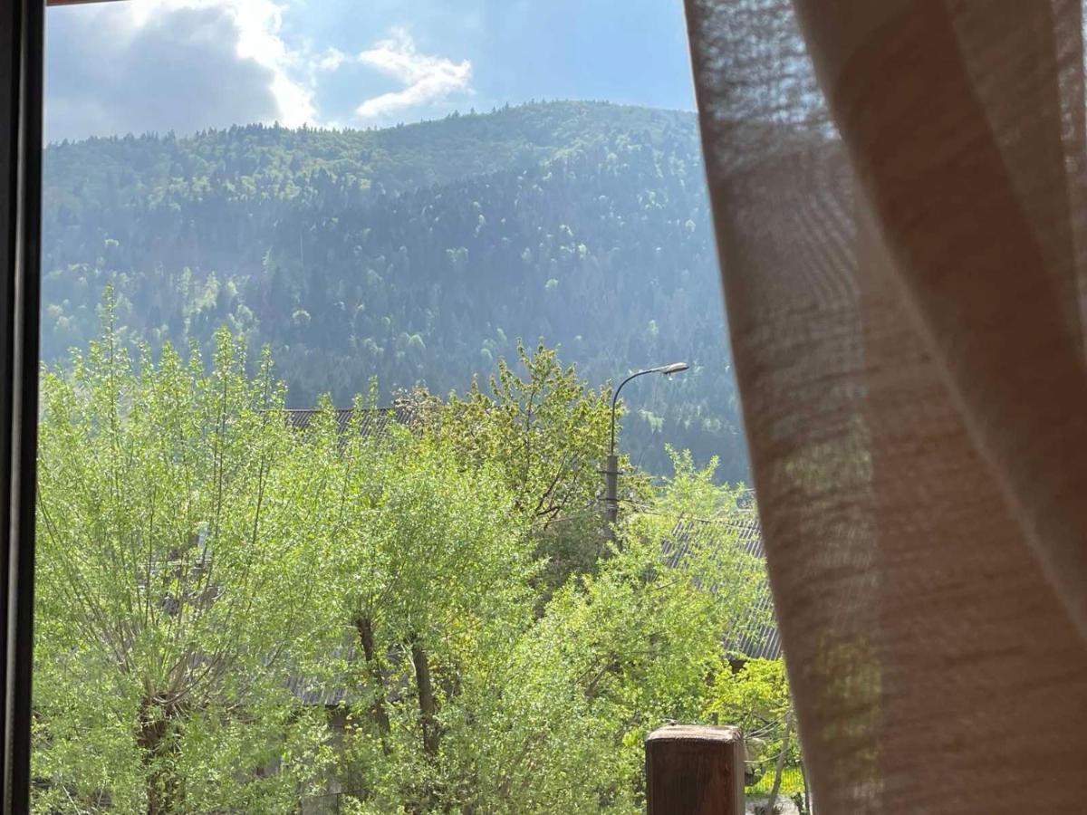 Чан Банька Apartment Mizhhirya  Luaran gambar